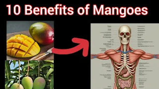 10 Benefits of Mangoes||What happens if you eat mango everyday?