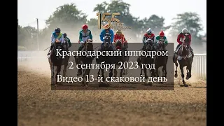 Видео 13 скаковой день   02 09 2023г Краснодарский ипподром