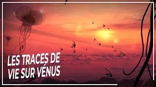 La Vie Au-Delà : De Mystérieuses Traces de Vie Extraterrestre sur Vénus | DOCUMENTAIRE Espace
