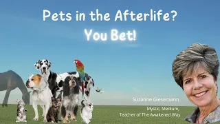 Pets in the Afterlife?  You Bet!