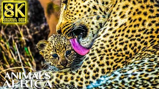 LIFE OF ANIMALS Africa in 8K ULTRA HD 60fps - Wildlife and Animals with Real Nature Sounds