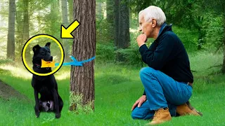 Mann sieht Hund, der mit Zettel im Wald ausgesetzt wurde. Als er ihn liest, fängt er an zu weinen