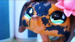 Littlest Pet Shop: Popular (Episode #5: Calories and Competition)