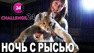 НОЧЬ В КЛЕТКЕ С ЯКУТСКОЙ РЫСЬЮ ! 24 часа челлендж / Что-то пошло не так, без жертв не обошлось