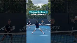 Tsitsipas hits his brother with a fast-paced reflex volley 🎾 🎯 #tsitsipas #tennis