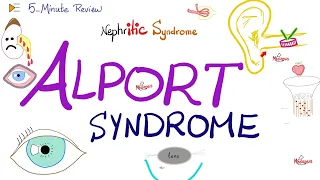 Alport Syndrome | Nephritic | 5-Minute Review Series