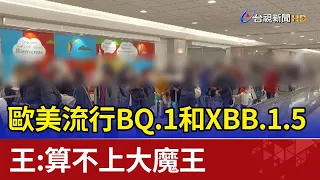 歐美流行BQ.1和XBB.1.5 王必勝：算不上大魔王