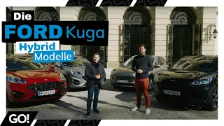 Für jeden das passende Modell - Die Ford Kuga Hybrid Palette