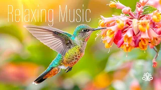 Relaxing Music for Stress Relief and Deep Sleep | Smooth Jazz