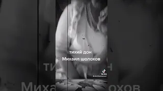 тихий дон