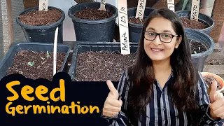 How to germinate Seed | Why seeds don't germinate | बीज कैसे उगायें? I #Seed #germination #gardening