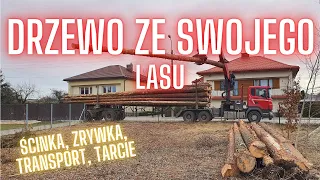 🔴 JAK WYGLĄDA ŚCINKA DRZEWA W SWOIM LESIE 🚜 | DREWNO NA BUDOWĘ 🌲 | KOSZT 💲 | BUDUJEMY DOM 🏠