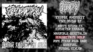 Epidemic Pain - Trudge Amongst the Mush FULL EP (2018 - Gorenoise)