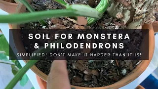 Soil Mixes For Monstera & Most Aroids | Monstera Indoor Houseplant Soil Tour & Care | Ep 21