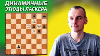 Динамичные шахматные этюды Эмануила Ласкера - 1892 и 1895 годов. Шахматная композиция. Шахматы