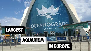 Océanografic, the LARGEST aquarium in Europe!