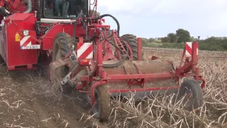 GRASSMEN - Country Crest Potato Harvest 2016