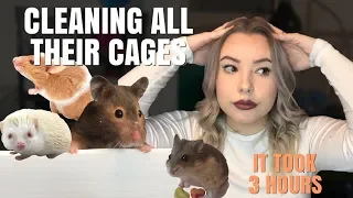 CLEANING ALL MY SMALL ANIMAL CAGES!