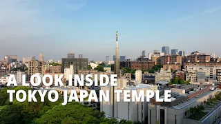 Beloved Tokyo Japan Temple Opens to the Public Following Renovation