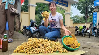 Harvest stone honeycombs and forest fruits and bring them to the market to sell | Linh Life