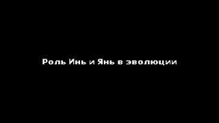 Убежденность важнее действительности. Роль Инь и Янь в эволюции.