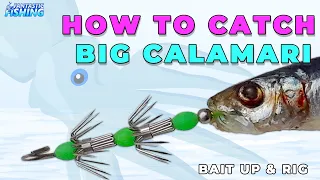 How To Bait Up and Jig Rig For Catching Big Calamari And Squid.
