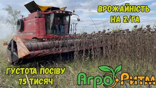 32ц/Га Без ДОБРИВ❗ Кейс 2388 Результат БЕЗ ДОБРИВ💪🌻СПРАВЖНІ Жнива Соняшника🌻БОМОНД Агро Ритм