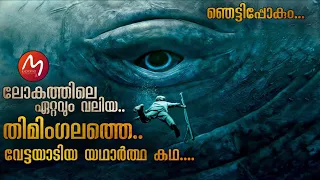 ലോകത്തെ നടുക്കിയ ഒരു കടൽയാത്ര | പകയുള്ള ഒരു തിമിംഗലം | Mallu Explainer