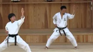 Okamoto-sensei demonstrating kata Empi