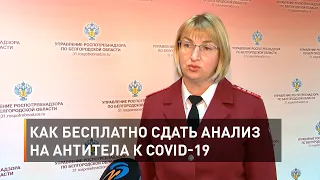 Как бесплатно сдать анализ на антитела к COVID-19