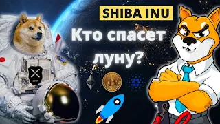 SHIBA INU полный обзор ADA взрывается! XRP анализ Tesla Больше не принимаeт BTC DOGE за Tesla?