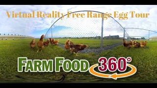 360° Free Range Egg Farm Tour