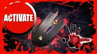 Активация новых мышек A4Tech серии Bloody  Активация Bloody 6 не слетит Декабрь 2018