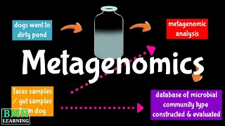 Metagenome | Metagenomics | Metagenomics Workflow |