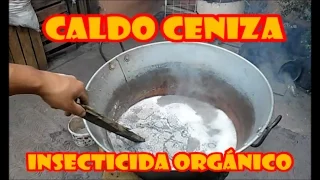 INSECTICIDA ORGÁNICO EFECTIVO "CALDO CENIZA" || PREPÁRALO TU MISMO