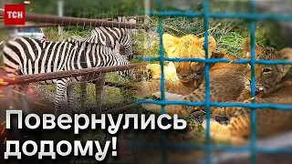 💔 Шість людей загинуло під час їхньої евакуації! Мешканці Харківського звіринцю повернулись