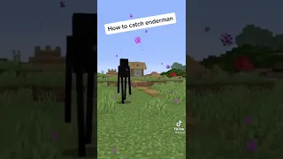 How to catch Enderman #Shorts