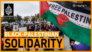 🇺🇸🇵🇸 How is Black Lives Matter changing the US conversation on Palestine? | The Stream