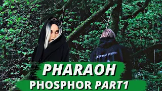 PHARAOH - PHOSPHOR| Реакция ВАМПИРА