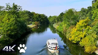 [ 4K ] Berlin inside Tiergarten Park I Walking Tour I Germany