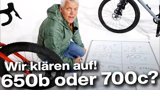 Lange lebe 650b! Oder doch 700c? Felgengrößen-Beratung!