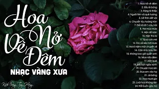 Hoa nở về đêm, Sầu lẻ bóng -  100 bài nhạc xưa nhạc vàng hải ngoại sầu muôn thuở