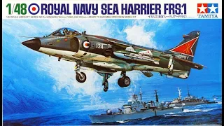 My First Build | Tamiya 1/48 Royal Navy Sea Harrier FRS.1 | Hand Brush