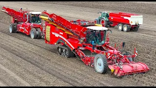 Potato Harvest 2023 | Grimme Varitron 470 TT Gen3  4-row self-propelled harvester #PotatoCam