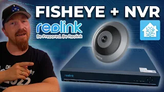Reolink Kameras ZENTRAL SPEICHERN und verwalten + NEUE FISHEYE Kamera | FE-W | RLN16-410
