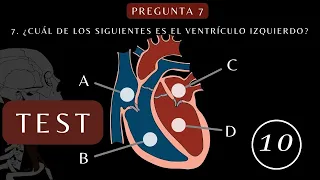 ¿Cuánto Sabes de "ANATOMÍA y FISIOLOGÍA del Corazón"? | TEST SOBRE EL CUERPO| Test/Trivial/Quiz