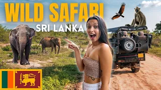 🇱🇰 Our First Ever Safari Experience! Sri Lanka has it all !!