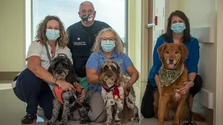 Day in the Life: Animal-Assisted Therapy Program