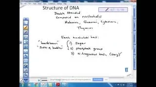 BI 101:  Molecular Genetics