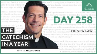 Day 258: The New Law — The Catechism in a Year (with Fr. Mike Schmitz)